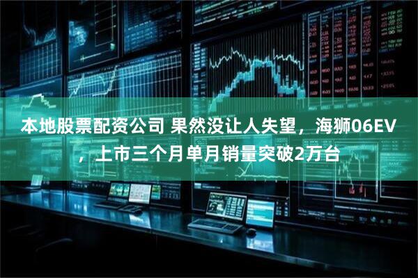 本地股票配资公司 果然没让人失望，海狮06EV，上市三个月单月销量突破2万台