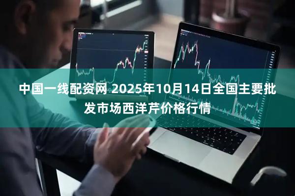 中国一线配资网 2025年10月14日全国主要批发市场西洋芹价格行情