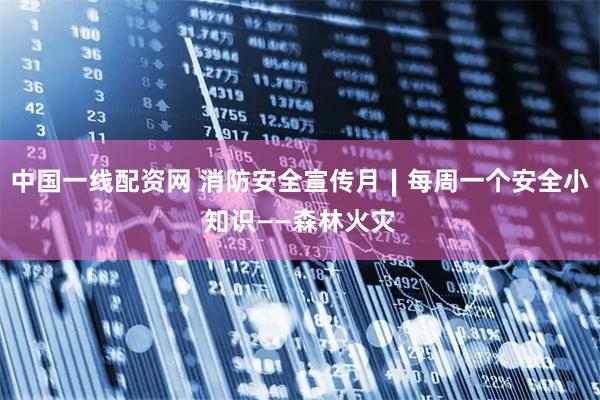 中国一线配资网 消防安全宣传月∣每周一个安全小知识——森林火灾