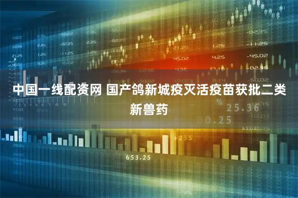 中国一线配资网 国产鸽新城疫灭活疫苗获批二类新兽药